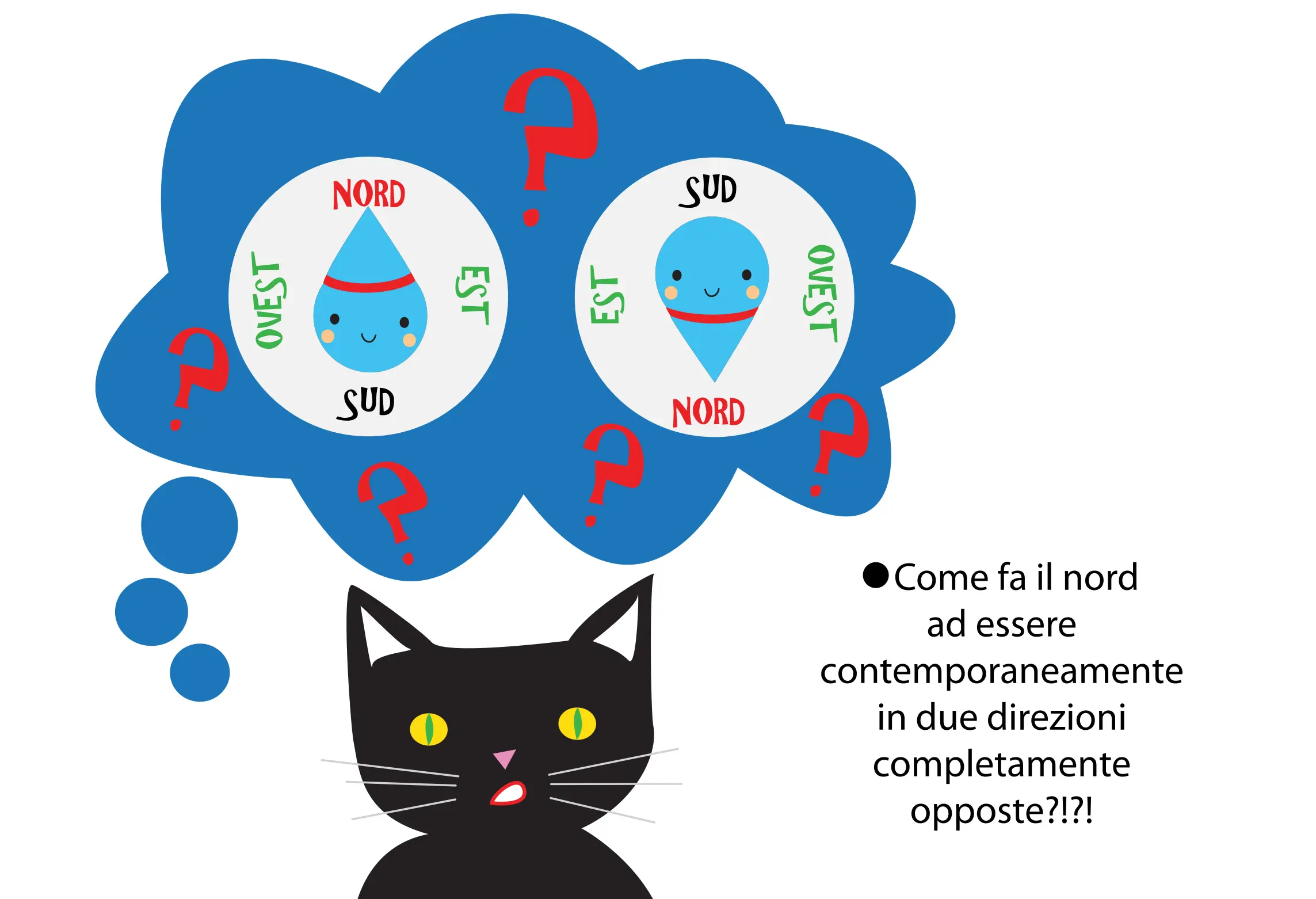 Poli magnetici